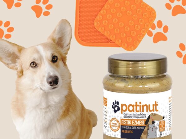 Köpekler Için Probiyotikli Fıstık Ezmesi Ve Stres Giderici, Oyalayıcı, Lick Mat Seti